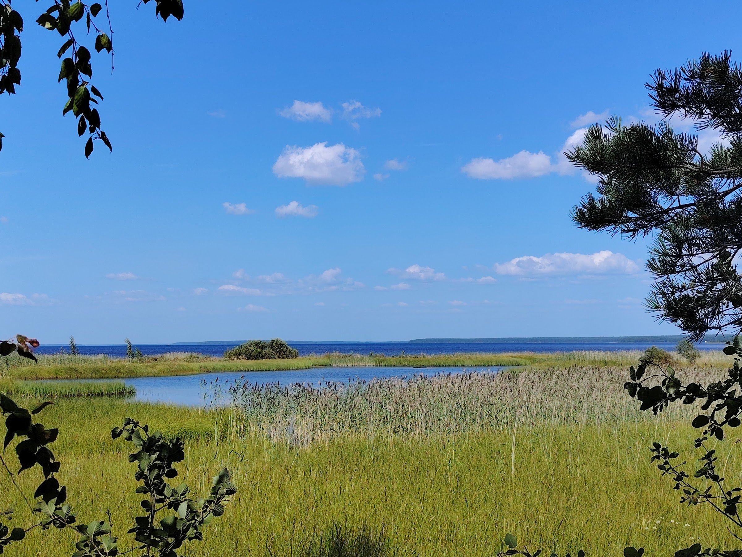 Makkaraniemi Trail (Manamansalon Makkaraniemen reitti)